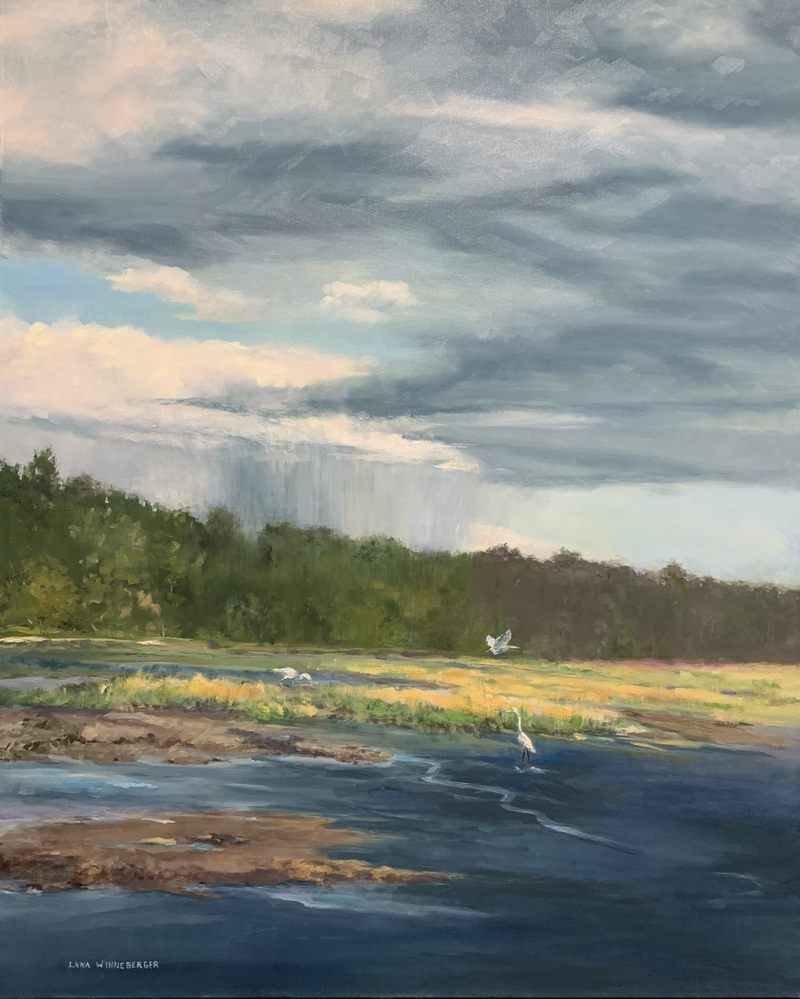 painting-of-three-birds-hunting-on-the-water-in-front-of-rainy-clouds-by-Lana-Ford-Winneberger
